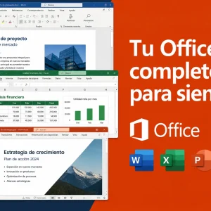 Alternative view of Office 2024 Professional Plus LTSC