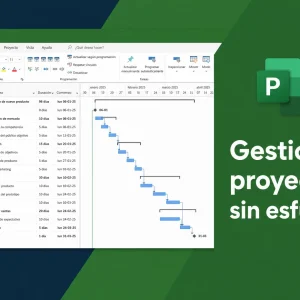 Alternative view of Microsoft Project Professional 2021